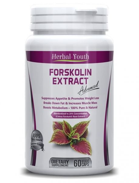 Forskolin Extrato